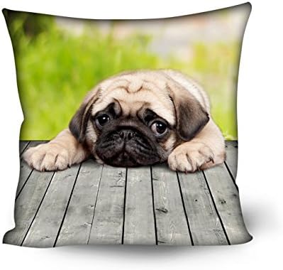 Lovely Pet Puppy Cat Pillowcase Standard Size 5050cm Pillow Case Cover Decorative (C1)
