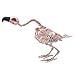 JOYIN Halloween Decoration 16” Pose-N-Stay Vulture Skeleton Plastic Bones with Posable Joints for Pose Skeleton Prop Indoor/Outdoor Spooky Scene Party Favors Décor.