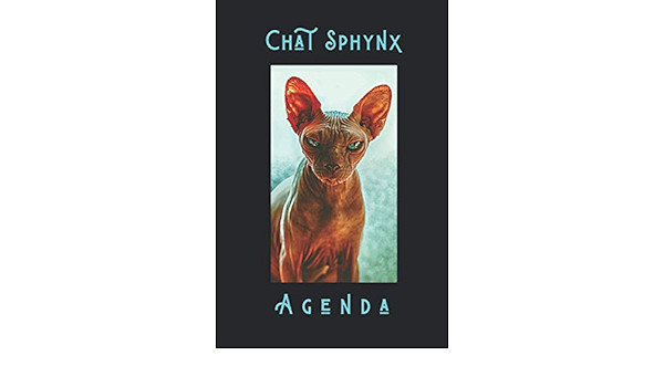 Chat Sphynx Agenda Agenda Hebdomadaire De Planification Avec Sphynx Chat Design Il Comprend Egalement 24 Pages De Calendrier Ideal Pour Rester Adorer Ce Planificateur French Edition Classiques Pages Amazon Com Books