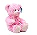 WILDREAM PinkTeddy Bear Stuffed Animal Plush with Ribbon Cravat, Shaggy Plush Stuffed Teddy Bear for Baby Kids Boys Girls, Soft First Teddy Bear Cute in Sitting Position 9.8 Inches(Dreamy Pink)