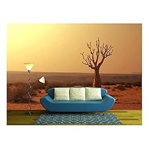 Dead Valley in Namibia - Removable Wall Mural | Self-Adhesive Large Wallpaper - 66x96 inches