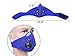 ULuckySee Dust Face Mask Anti Woodworking Fume Pollen Chemical Paint PM2.5 Air Safety Filter for Outdoor Activities (Blue)
