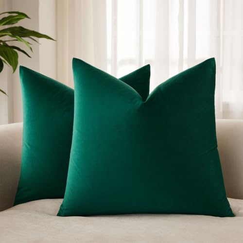 JUSPURBET Euro Velvet Throw Pillow Covers