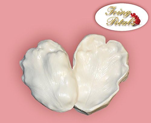 Parrot Tulip Silicone Veiner Set By Icing Petals