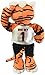 FOCO NFL Unisex Mascot Plush