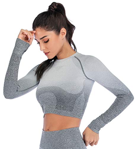 image for RUNNING GIRL Ombre Seamless Crop Top Long Sleeve Layer Crew Neck Power