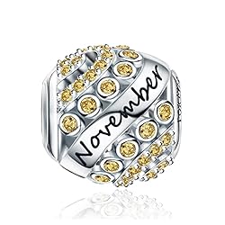FOREVER QUEEN November Birthstone Charms for Charms