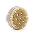 Exfoliating Body Brush for Dry Skin and Cellulite Reduction our Natural Bristle Bath Brush gives the Best Full Body Exfoliation by BioTranquility