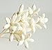 40 Mini Night Jasmine Sola Flower Reed Diffuser for Home Fragrance Aroma Oil by Plawanature