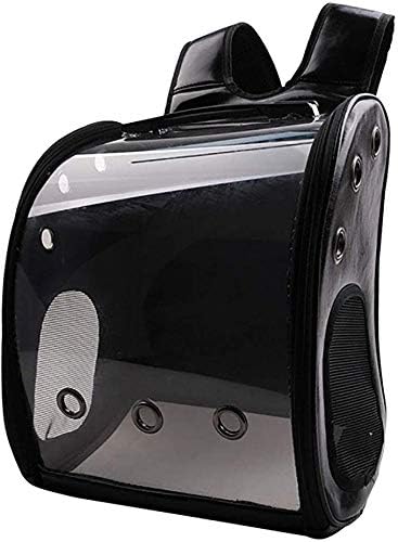 25 mg benadryl for dogs