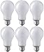 EIKO ECT 120V 500 Watt Inside Frosted Photoflood Lamp Bulb 6 Pack
