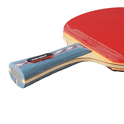 DHS Table Tennis Racket Ping Pong Paddle Hurricane No.2 (Long-handle) Double Pimples-in Bats Shake-hands Grip