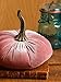 Blush 6.25 inch Velvet Pumpkin, Modern Rustic Mantle Decor, Entryway Decor, Farmhouse Cozy Home Decor, Table Centerpiece (Blush)