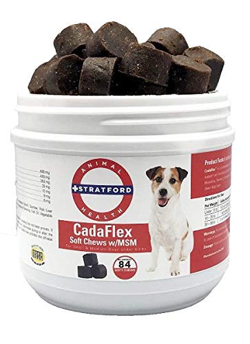 Stratford Pharmaceuticals CadaFlex Soft Chews with MSM - Glucosamine for Dogs - All-Natural Hip & Joint Pain Relief -Glucosamine Chondroitin Dogs Treats (Sm/Md Dogs Under 60 lbs. / 84 Soft Chews)