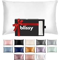 Blissy Silk Pillowcase - 100% Pure Mulberry Silk - 22 Momme 6A High-Grade Fibers - Silk Pillow Cover for Hair & Skin - Regular, Queen & King (Blissy White, Standard)