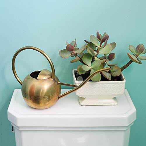 Achla Designs WC01 Brass Metal Small Watering Can Houseplants Pricepulse