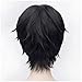 Flovex Short Straight Anime Cosplay Wigs Natural Sexy Costume Party Daily Hair (Black 1)