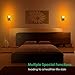 TomCare Himalayan Salt Lamp Natural Hand Carved Himalayan Salt Light Glow Crystal Rock Salt Lamps Wall Night Light Bulbs with UL Listed Plug for Lighting and Decoration (2)