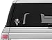 Vinyl Junkie Graphics Punisher Skull Urban Camo Pattern Sticker with Glowing Eyes Car Truck Laptop Toolbox Bumper Decal