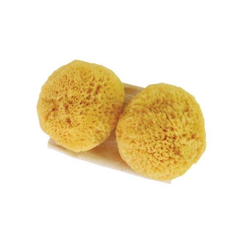 Sea Pearls Reusable Sea Sponges- Classic Medium 2 Pack