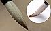 MasterChinese Watercolor Chinese Calligraphy Painting Sumi Drawing Beginner Brush (Goat-Wolf) Set - Kids Friendly