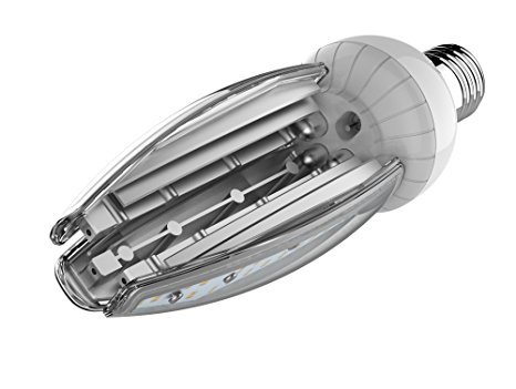 Goodbulb LED Acorn Light Bulb 120/277V, 5000K, Medium E26 Base, 50,000 Hours of Life - 30 Watts (1 Pack)