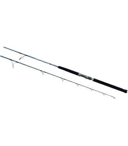 DAIWA VADEL SLOW JIGGING 63b-３ 22 VADEL SJ - Daiwa Malaysia
