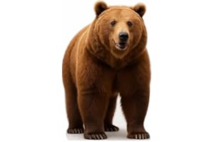 EZISHIPS Brown Bear 3FT Life Size Cardboard Cutout – A Fun Animal Standup for Photo Booths, Birthday Parties, and Events
