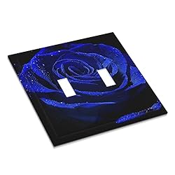 Blue Rose Flower 2 Gang Double Toggle Light Switch