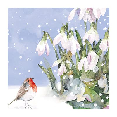 Ling Design Pack of 6 Artistic Charity Christmas Cards - 'Robin & Snowdrops' - 6 Cards of 1 Illustrated Design - From The Great British Card Company