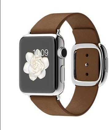 apple watch 42mm 316l stainless steel sapphire crystal ceramic back