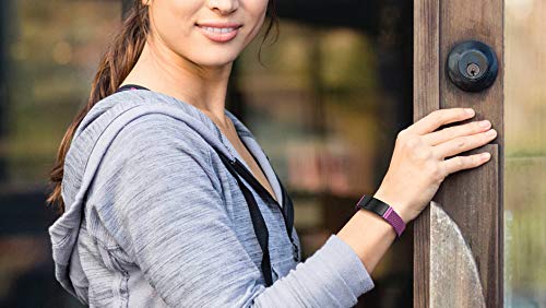 SWEES Metal Band Compatible Fitbit Inspire & Fitbit Inspire HR, Milanese Mesh Stainless Steel Magnetic Replacement Band Accessories Small Large for Women Men, Silver, Black, Lilac, Sangria, Champagne - Thumbnail 7