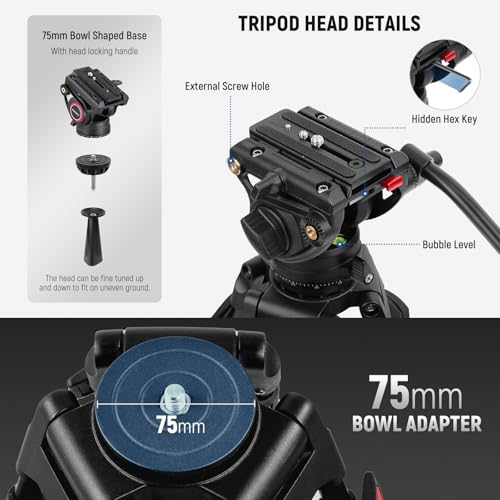 NEEWER 74" Video Tripod with Fluid Head & Damping Control, Aluminum Heavy Duty Camera Stand Professional with QR Plate for DSLR Camcorders for Video Recording, Cleaning Cloth, Max Load 17.6 lbs, TP74