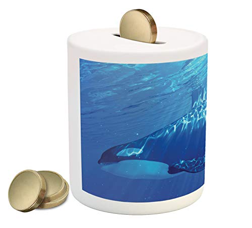 Lunarable Orca Piggy Bank, Fascinating Underwater Photo of Killer Whale Swimming Near Surface, Ceramic Coin Bank Money Box for Cash Saving, 3.6