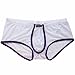 FEESHOW Men's Soft Sheer Mesh Boxer Briefs Shorts Underwear Lingerie Panties (White, XL)