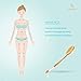 Body Brush Dry Skin Brushing - for Bath or Shower Bamboo Long Handle Back Brush Clean Exfoliating and Cellulite