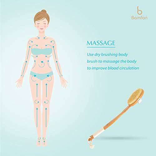 Body Brush Dry Skin Brushing for Bath or Shower - Bamboo Long Handle Back Brush Remove Exfoliating and Cellulite