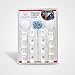 Magnetic Cabinet & Drawers Locks - 8 Locks + 2 Keys, 2 Installation Options: 3M Adhesive OR Screws