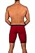Lumber Collection - AnatoFREE Boxer Brief 9 inch Leg - Cranberry - Small
