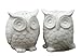 Creative Co-Op Ceramic Owl Salt and Pepper Shaker, Set of 2