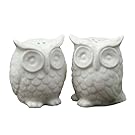Creative Co-Op Ceramic Owl Salt and Pepper Shaker, Set of 2