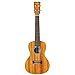 Cordoba 20CM Mahogany Concert Ukulele