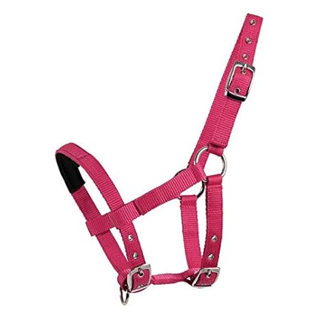 Waldhausen Mini-Shetty Halfter, Azalee, Azalee
