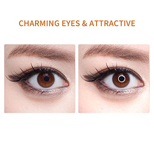 3 MOUNTDOG+Ringlight+Dimmable+Continuous+Temperature