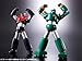 Bandai Tamashii Nations Super Robot Chogokin Cantam Robo 