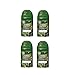 Air Wick Freshmatic Automatic Spray with Refill Air Freshener, Woodland Pine, 4 Count