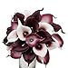 Angel Isabella 10pc Set of Real Touch Calla Lily-Keepsake Artificial Calla Lily with Small Bloom Perfect for Making Bouquet, Boutonniere,Corsage.Quality Keepsake Artificial Flower (Picasso Wine)