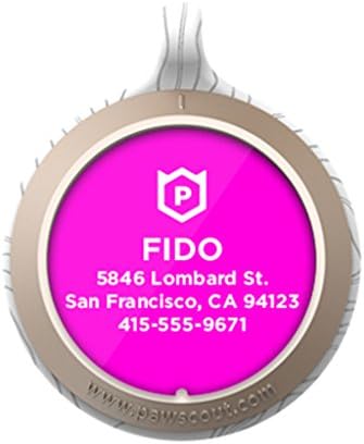 Personalized Pawscout Smart Tag for Dogs and Cats - White &amp; Gold with 233C Nameplate