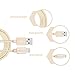 iPhone Charger, Kabel Leader 3Pcs 3ft/6ft/10ft Durable Nylon Braided Lightning Cord to USB Charging Cable for iPhone 7 7 Plus SE 6 6s 6 Plus 5 5s iPad 4 Mini Air iPod Nano 7 iPod Touch 5(Gold)