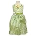 Disney Princess Friendship Adventures Tiana Dress 4-6x